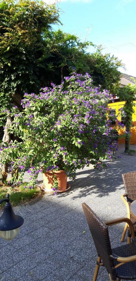 Wein & Gastehaus Hermeshof Hotel Trittenheim Exterior foto